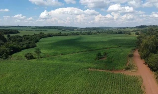 Imóvel 2558563 [''] - ['Lote Rural no 191-C, Bairro: Fazenda Britânia- MERCEDES/ PR, CEP 85998-000'] [''] - ['Mercedes']/['PR'] - 1