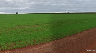 Imóvel 2777263 [''] - ['Gleba Lambari, Assis Chateaubriand'] [''] - ['Tupãssi']/['PR'] - 1