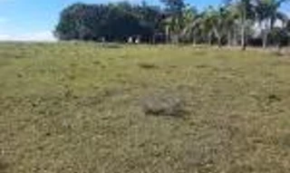 Imóvel 2489464 [''] - ['Estancia Velha, distrito de Boca do Monte'] [''] - ['Santa Maria']/['RS'] - 1