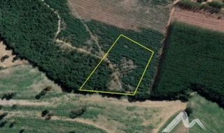 Imóvel 2503864 [''] - ['Serra Azul, S/N - Zona Rural Mateus Leme - MG'] [''] - ['Mateus Leme']/['MG'] - 1