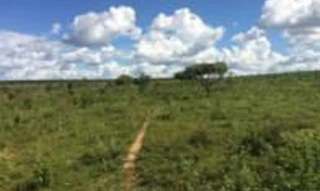 Imóvel 2776364 [''] - ['Fazenda Anna Luiza I, c/ 251,3643há'] [''] - ['Primavera Do Leste']/['MT'] - 1