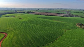 Imóvel 2590164 [''] - ['Linha Iriapira I'] ['Kuhn'] - ['Panambi']/['RS'] - 1