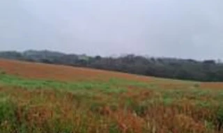 Imóvel 2487764 [''] - ['Engenho Velho'] [''] - ['Palmeira Das Missões']/['RS'] - 1