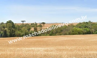 Imóvel 2711964 [''] - ['PR-466, s/n'] [''] - ['Ivaiporã']/['PR'] - 1