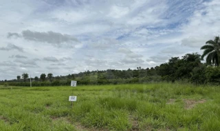 Imóvel 2776265 [''] - ["Rua E, s/n - Chacreamento Espelho D'água Abaeté - MG"] [''] - ['Abaeté']/['MG'] - 1