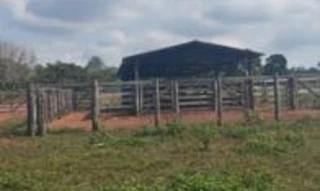 Imóvel 2834765 [''] - ['Fazenda Paineira, Gleba Furnas I, localizado há aprox. 78Km de Filadélfia/TO'] [''] - ['Filadélfia']/['TO'] - 1