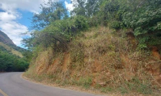 Imóvel 2776365 [''] - ['Gleba 04-A, Fazenda Canto da Serra, Córrego Ipanema, distrito de Barra Alegre'] ['Barra Alegre'] - ['Ipatinga']/['MG'] - 1