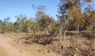 Imóvel 2451565 [''] - ['Fazenda Alto da Serra, Gleba 2, parte desmembrada da Fazenda São Vicente, lote 01, Lot. Lagoa Branca e Catingueiro'] [''] - ['São Valério']/['TO'] - 1