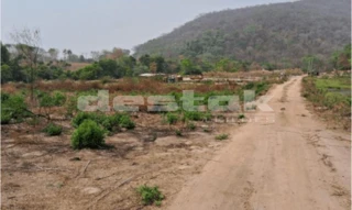 Imóvel 2348965 [''] - ['Rodovia GO-320, Km 17 - Zona Rural de Jandaia'] [''] - ['Jandaia']/['GO'] - 1