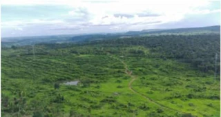 Imóvel 2746665 [''] - ['Lote Rural 22, da Gleba 16-C do Projeto Integrado de Colonização Ouro Preto, situado neste Município de Ouro Preto do Oeste'] [''] - ['Ouro Preto Do Oeste']/['RO'] - 1