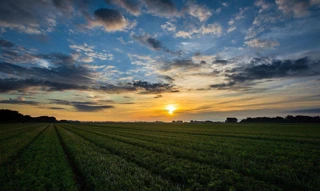 Imóvel 2492865 [''] - ['LOTE 18, DA QUADRA BE, DO LOTEAMENTO RECANTO PRAIA DO SAGI (ZONA LITORÂNEA)'] [''] - ['Baía Formosa']/['RN'] - 1