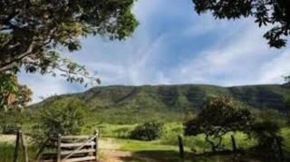 Imóvel 2843766 [''] - ['Zona Rural, S/N'] [''] - ['Colônia Leopoldina']/['AL'] - 1