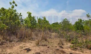 Imóvel 2553166 [''] - ['FAZENDA SÃO LORENÇO, FAZENDA, MUTUM, MUTUNOPOLIS - GO, CEP 76.540-000'] [''] - ['Mutunópolis']/['GO'] - 1