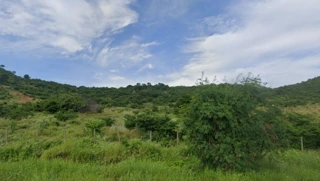 Imóvel 2455566 [''] - ['Fazenda dos Angicos, lugar denominado Fazenda Primavera, Município de Porteirinha'] [''] - ['Porteirinha']/['MG'] - 1