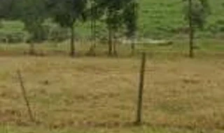 Imóvel 2259066 [''] - [''] [''] - ['Pratânia']/['SP'] - 1