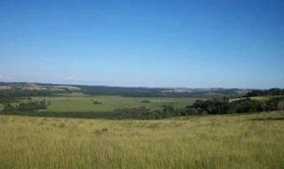 Imóvel 2324666 [''] - ['ESTRADA SOSSEGO/PEQUERI- KM 12'] [''] - ['Santana Do Deserto']/['MG'] - 1