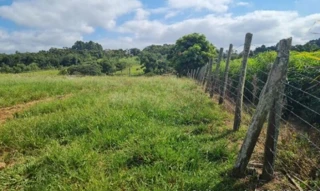 Imóvel 2525766 [''] - ['bairro Linha Cabral'] [''] - ['Criciúma']/['SC'] - 1