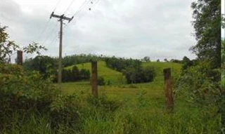 Imóvel 2619766 [''] - ['Linha Rio Itajaí Oeste (margem direita) Praia Vermelha'] [''] - ['Taió']/['SC'] - 1