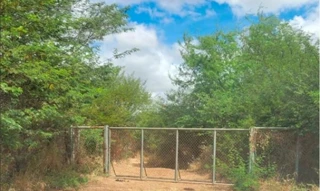 Imóvel 2546367 [''] - ['Perímetro Irrigado Senador Nilo Coelho'] [''] - ['Petrolina']/['PE'] - 1