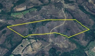 Imóvel 2721567 [''] - ['Fazenda Andrequicé'] [''] - ['Presidente Olegário']/['MG'] - 1