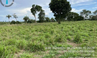 Imóvel 2758267 [''] - ['Estrada de Chão da Gleba Formosa, s/n, Zona Rural, Vila Bela da Santíssima Trindade, MT, CEP: 78245-000'] [''] - ['Vila Bela Da Santíssima Trindade']/['MT'] - 1