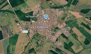 Imóvel 2883867 [''] - ['Sítio Santo Antônio, situado na Fazenda "Canoas", Palestina, SP'] [''] - ['Palestina']/['SP'] - 1