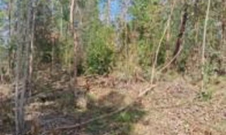 Imóvel 2605567 [''] - ['Estrada 36, Loteamento Rural Eldorado - 4ª Parte'] [''] - ['Eldorado Do Sul']/['RS'] - 1