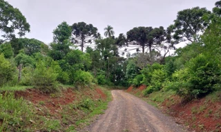 Imóvel 2475467 [''] - ['lugar denominado DIVISA que é também conhecido por MATO QUEIMADO, no Distrito de Água Azul'] [''] - ['Lapa']/['PR'] - 1