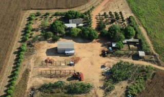 Imóvel 2897468 [''] - ['SITIO SITIO NOVA ALIANCA, LT 89, S/N, SEDE, Querência, MT'] [''] - ['Querência']/['MT'] - 1