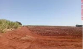 Imóvel 2797668 [''] - ['Fazenda Bálsamo'] [''] - ['Quirinópolis']/['GO'] - 1