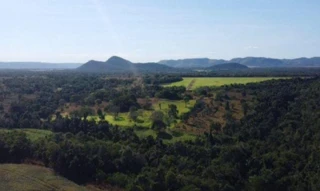 Imóvel 2716168 [''] - ['FAZENDA BARREIRO II, s/n, PARTE 01 DO LOTE N° 19, DO LOTEAMENTO CONCEIÇÃO, 1ª ETAPA, Zona Rural,, , Fátima/TO'] [''] - ['Fátima']/['TO'] - 1