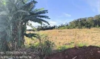 Imóvel 2509568 [''] - ['BR 282, Complemento: Lote 118-C | Linha Canela Gaúcha, Bairro: Interior, CEP: 89900-000'] [''] - ['São Miguel Do Oeste']/['SC'] - 1