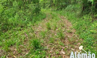 Imóvel 2660968 [''] - ['Lote rural n.º 119-C, Linha Araponga, Município de Itapuca'] [''] - ['Itapuca']/['RS'] - 1