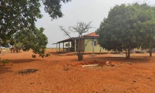 Imóvel 2578969 [''] - ['Lote 54 do Loteamento Kuluene I'] [''] - ['Canarana']/['MT'] - 1