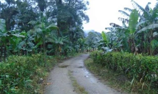 Imóvel 2813569 [''] - ['terreno situado no Quiriri, em Garuva/SC'] [''] - ['Garuva']/['SC'] - 1