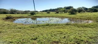 Imóvel 2798569 [''] - ['GRANJA DA FRATERNIDADE, RUA PEDRO PAES (ANTIGA ESTRADA DO GALINHEIRO)'] [''] - ['São João Da Barra']/['RJ'] - 1