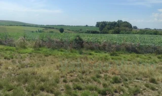 Imóvel 2734169 [''] - ['Estrada Geral, S/N, Bairro Zona Rural – São Sepé/RS'] [''] - ['São Sepé']/['RS'] - 1