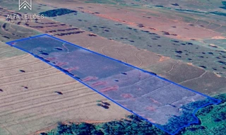 Imóvel 2461969 [''] - ['Rua Francisco Rocha, 198'] [''] - ['Icaraíma']/['PR'] - 1