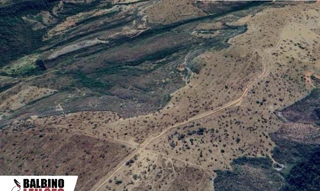 Imóvel 2594770 [''] - ['Fazenda São Pedro, região das Alminhas, Poxoréo, MT'] [''] - ['Poxoréu']/['MT'] - 1