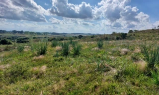 Imóvel 2734170 [''] - ['estratégica: apenas 3,5 km da BR-392 e 6 km do centro comercial e administrativo de São Sepé/RS'] [''] - ['São Sepé']/['RS'] - 1