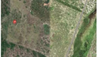 Imóvel 2622270 [''] - ['MUMBUCA'] [''] - ['Conde']/['BA'] - 1