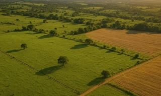 Imóvel 2703370 [''] - ['Sapucaia, Eugenópolis'] [''] - ['Eugenópolis']/['MG'] - 1