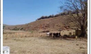 Imóvel 2541370 [''] - ['RECREIO E OUTRAS - CONCEICAO, 4 DISTRITO - ZONA RURAL'] [''] - ['Itaocara']/['RJ'] - 1