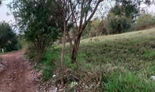 Imóvel 2364070 [''] - ['Gleba Lindoia'] ['Gleba Lindóia'] - ['Londrina']/['PR'] - 1