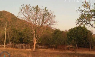 Imóvel 2716170 [''] - ['LOTE N° 32 DO LOTEAMENTO MARGEM DIREITA DO RIBEIRÃO RIACHÃO, S/N, Zona Rural, Ipueiras, TO, 77553, , Ipueiras/TO'] [''] - ['Ipueiras']/['TO'] - 1