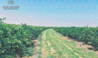 Imóvel 2391271 [''] - ['Fazenda Natividade'] [''] - ['Planura']/['MG'] - 1