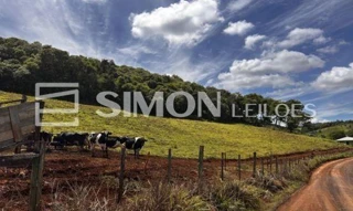 Imóvel 2722671 [''] - ['São João/PR'] [''] - ['São João']/['PR'] - 1