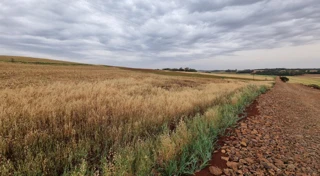 Imóvel 2533871 [''] - ['Rua Valadolide, nº 45 - Jardim Madri'] [''] - ['Marialva']/['PR'] - 1