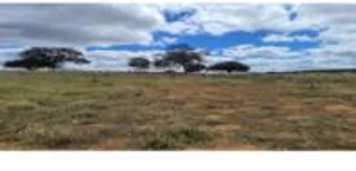 Imóvel 2771771 [''] - ['Sítio Bandeira, nas terras da fazenda Urubu'] [''] - ['Afrânio']/['PE'] - 1