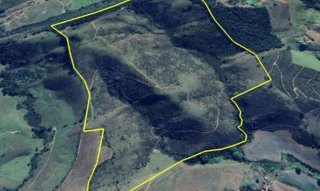 Imóvel 2592271 [''] - ['Pasto Peitudo - Fazenda Santa Maria, s/n - Zona Rural Conceição do Rio Verde - MG'] [''] - ['Conceição Do Rio Verde']/['MG'] - 1